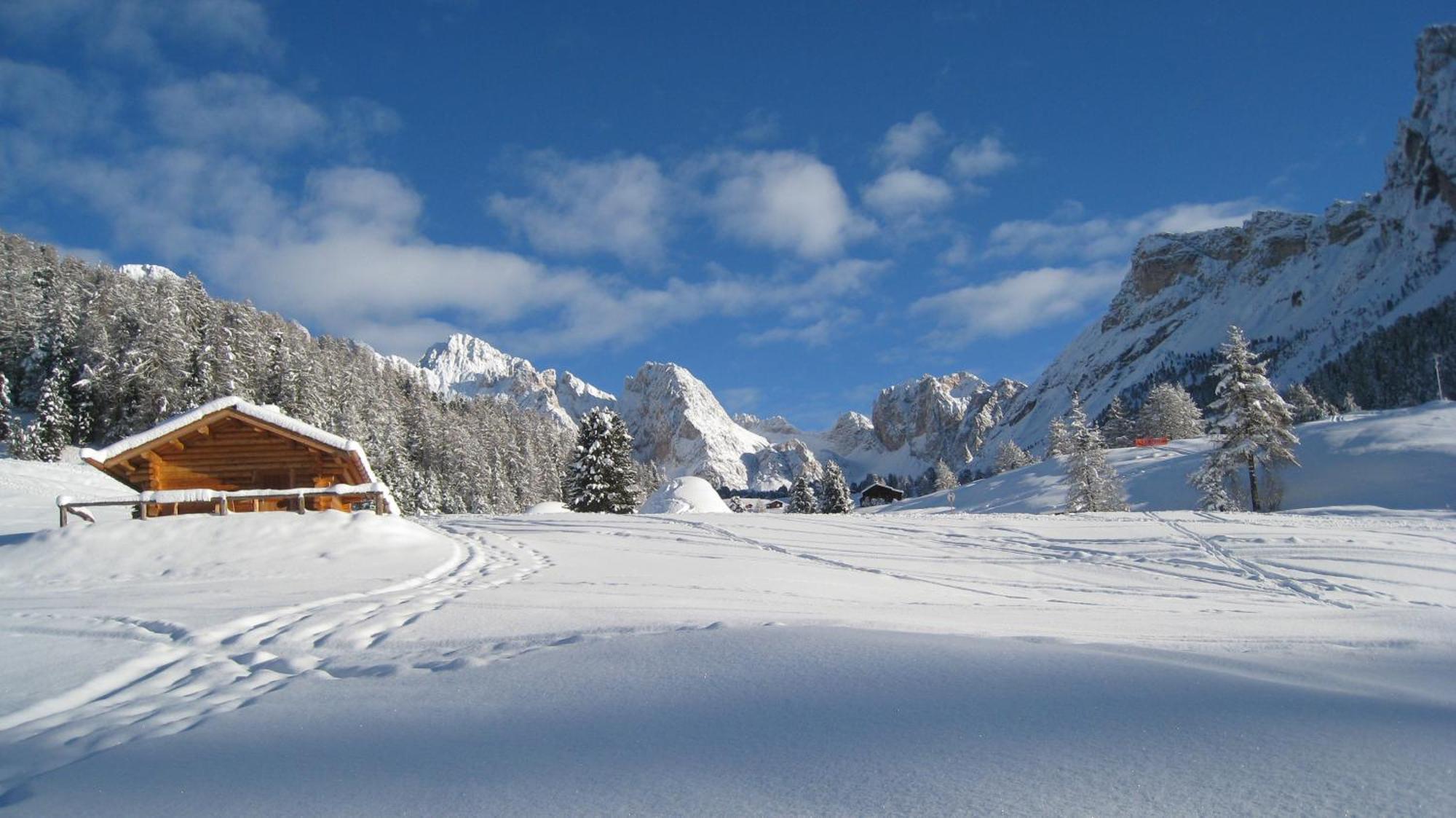 Apartments Dolomie オルティゼーイ エクステリア 写真